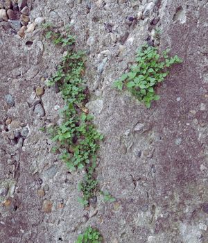 Ankara Beton Kırma Hizmetleri